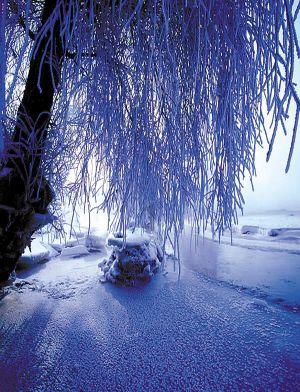 河南雪花已到货!1月31日夜多地有中到大雪局部暴雪,郑州启动低温雨雪冰冻灾害Ⅳ级应急响应